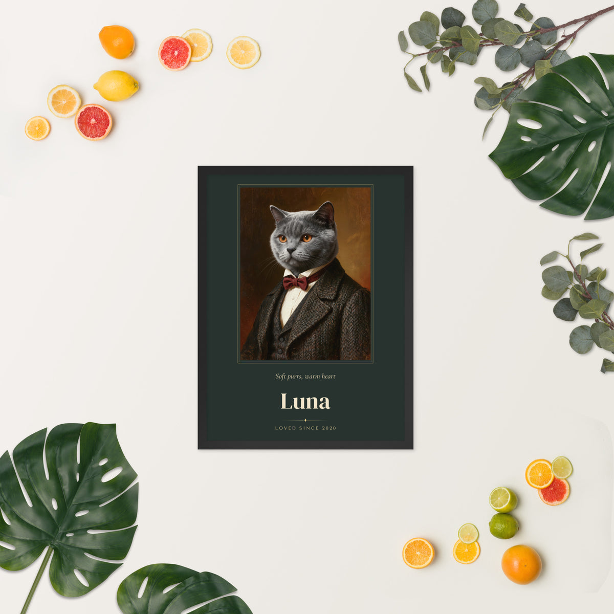 Gentleman Cat Portrait Gift for Mom – lifestyle photo, spring/summer – Framed Print