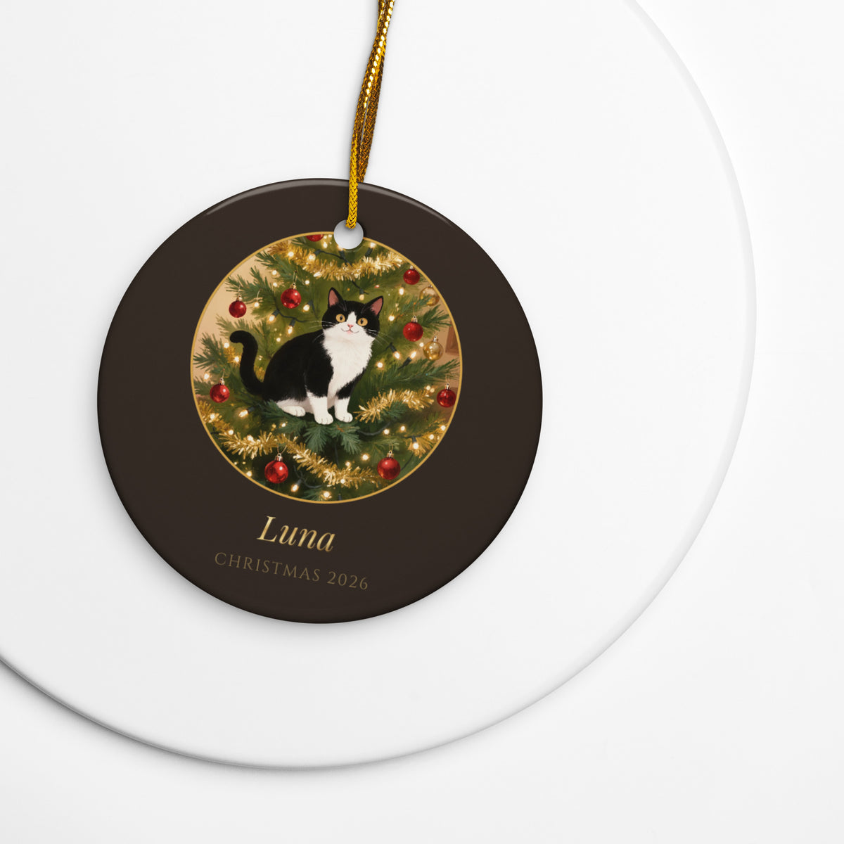 christmas cat portrait – lifestyle photo – Up the Christmas Tree Ornament