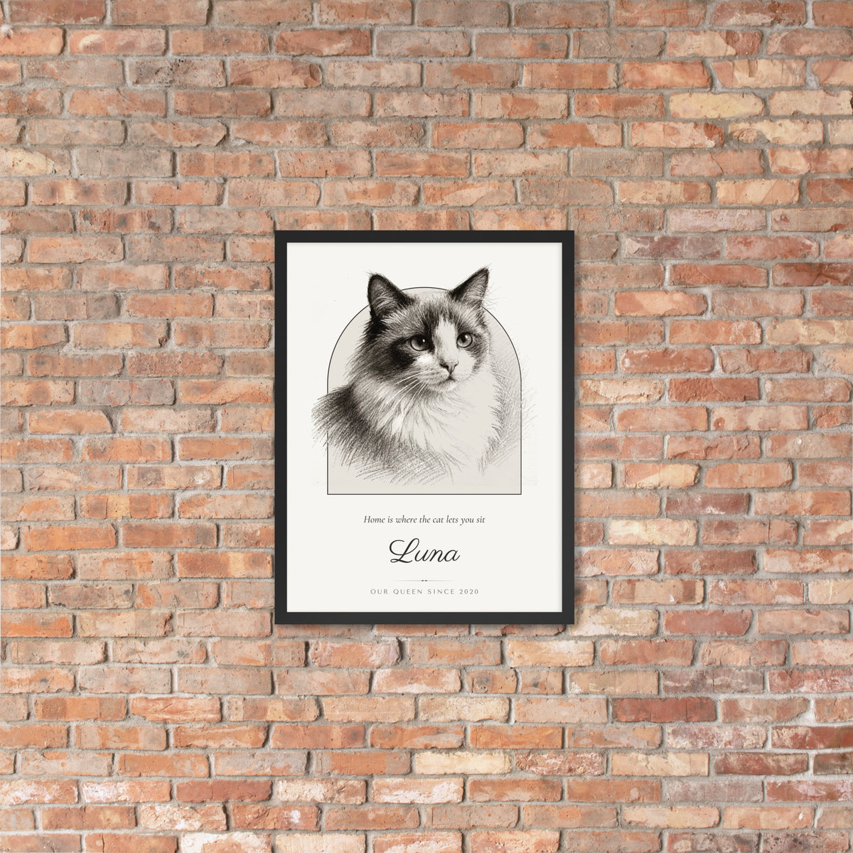Pencil Sketch Cat Portrait – lifestyle photo, lifestyle 4 – Framed Print