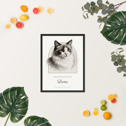 Pencil Sketch Cat Portrait – lifestyle photo, spring/summer – Framed Print