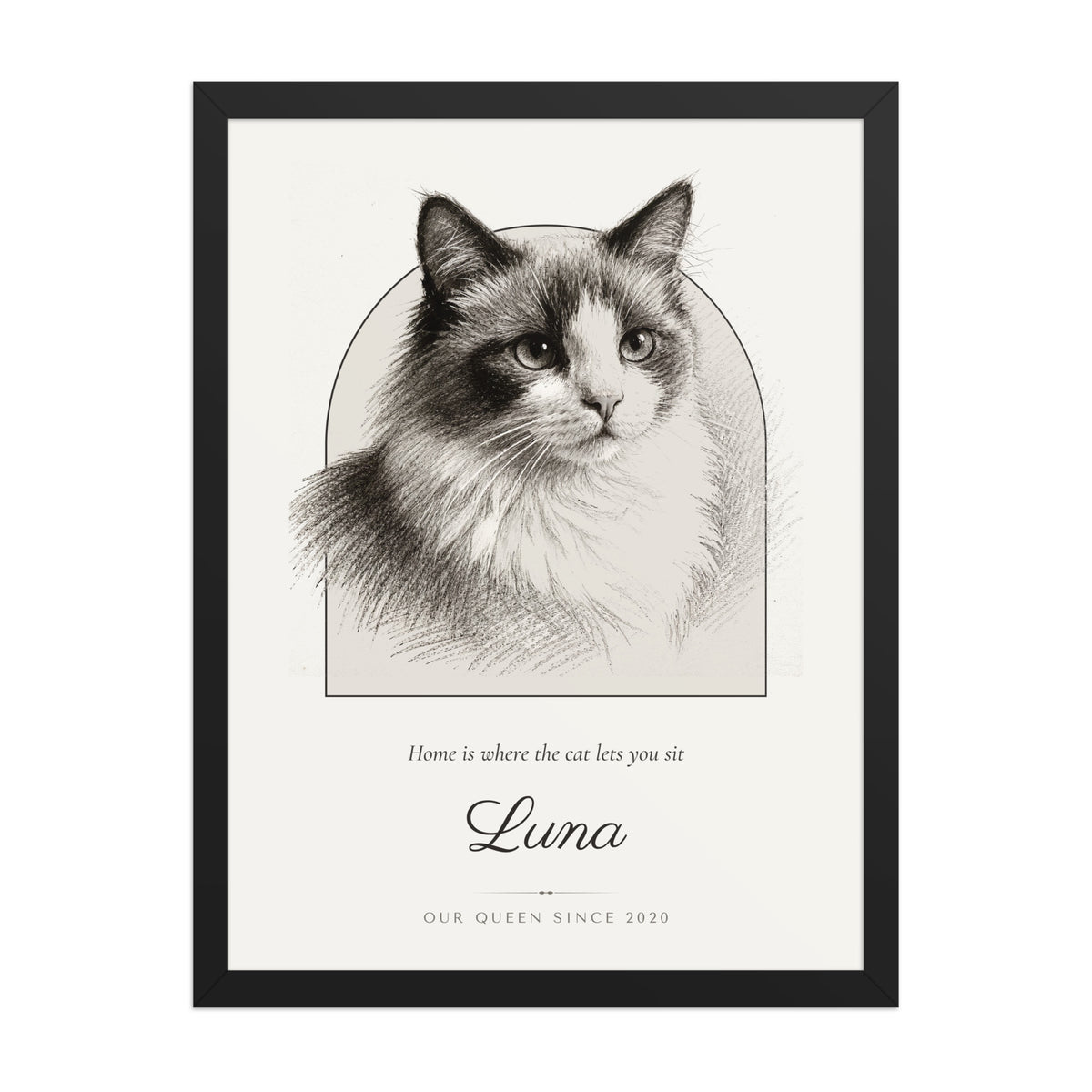 Pencil Sketch Cat Portrait – product photo – Framed Print
