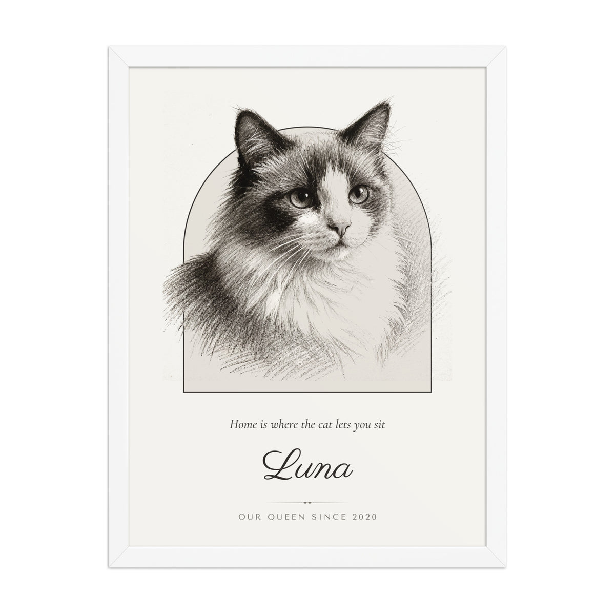 Pencil Sketch Cat Portrait – front view – Framed Print