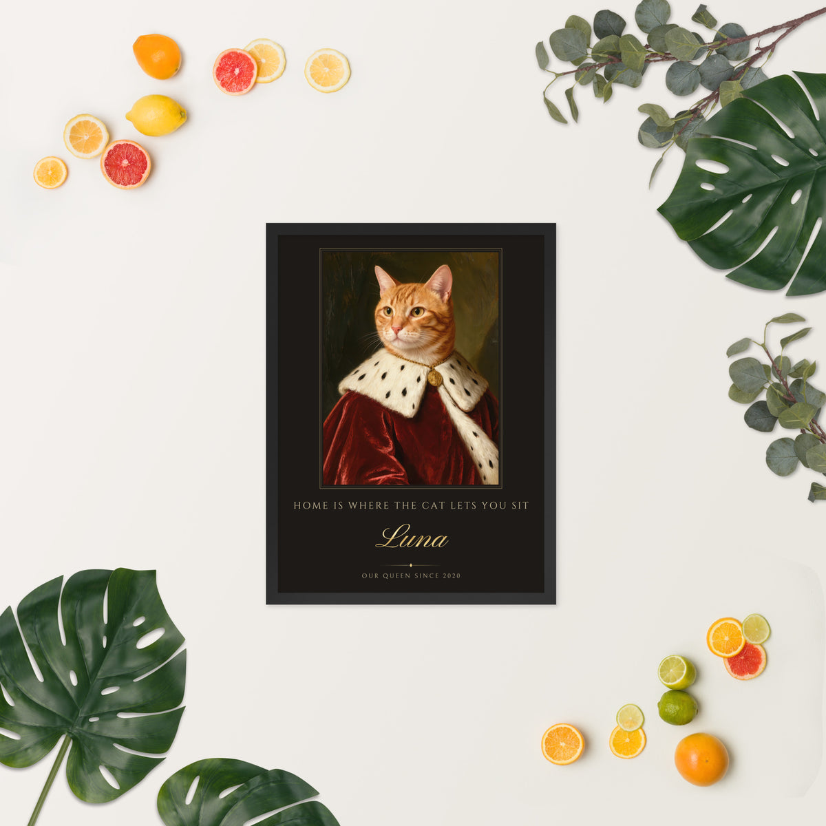 Royal Cat Portrait – lifestyle photo, spring/summer – Framed Print