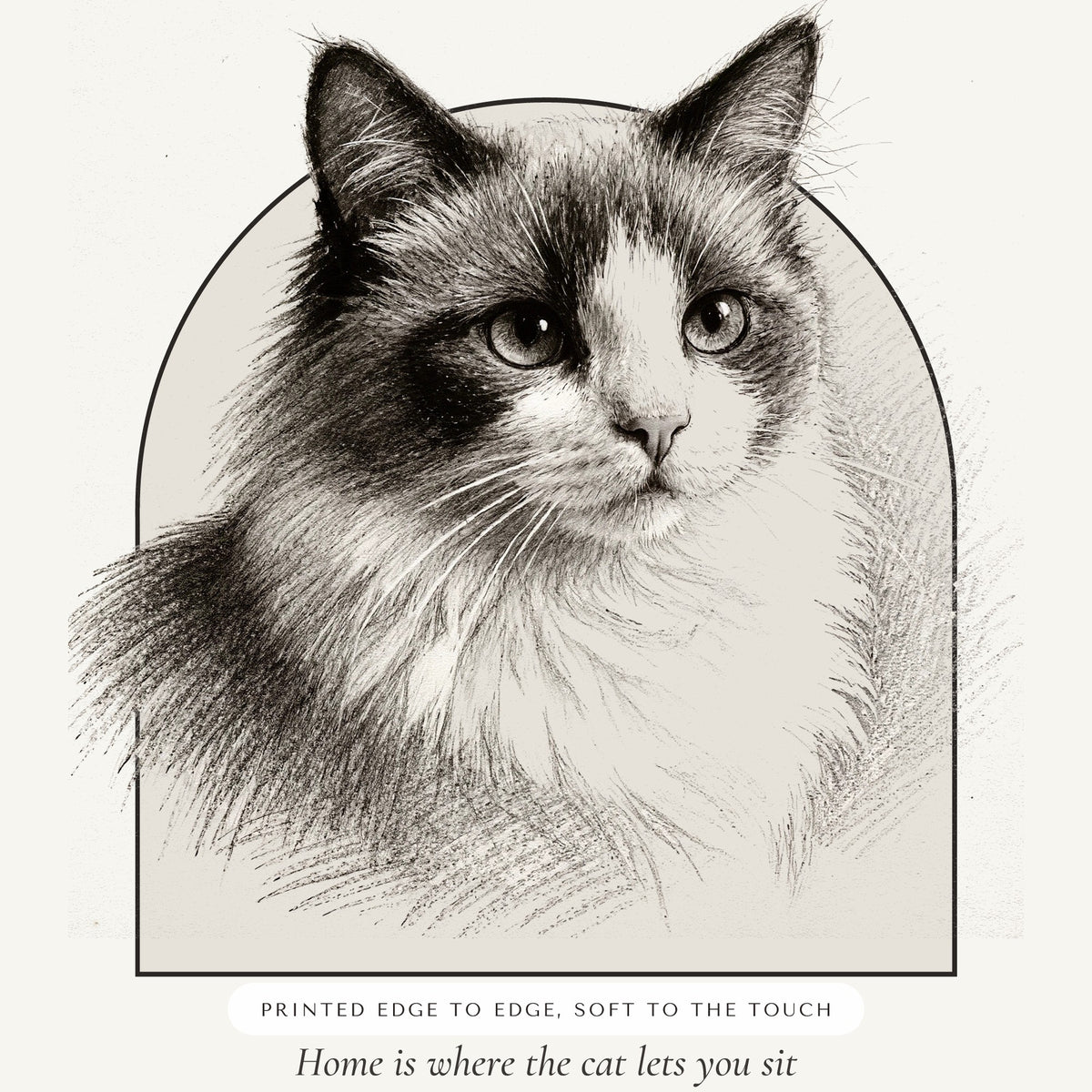 Pencil Sketch Cat Portrait – close-up of the print – Throw Pillow
