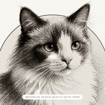 Pencil Sketch Cat Portrait Gift for Mom – close-up of the print – Framed Print
